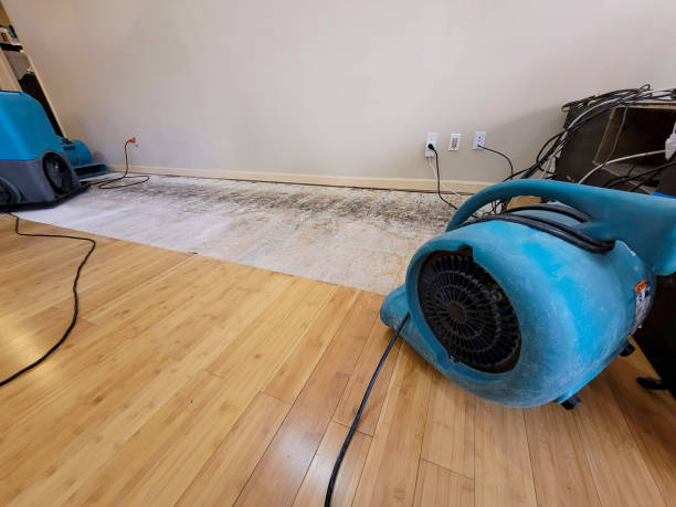 Professional Structural Drying technician working in Ridgeview, WV